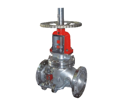 Oxygen globe valve
